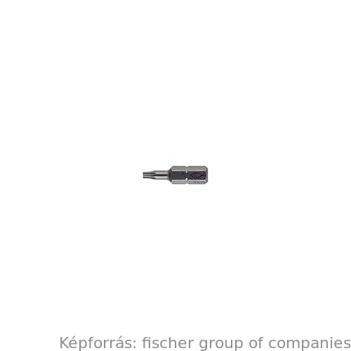 FPB T 30 PROFI BIT (2db)
